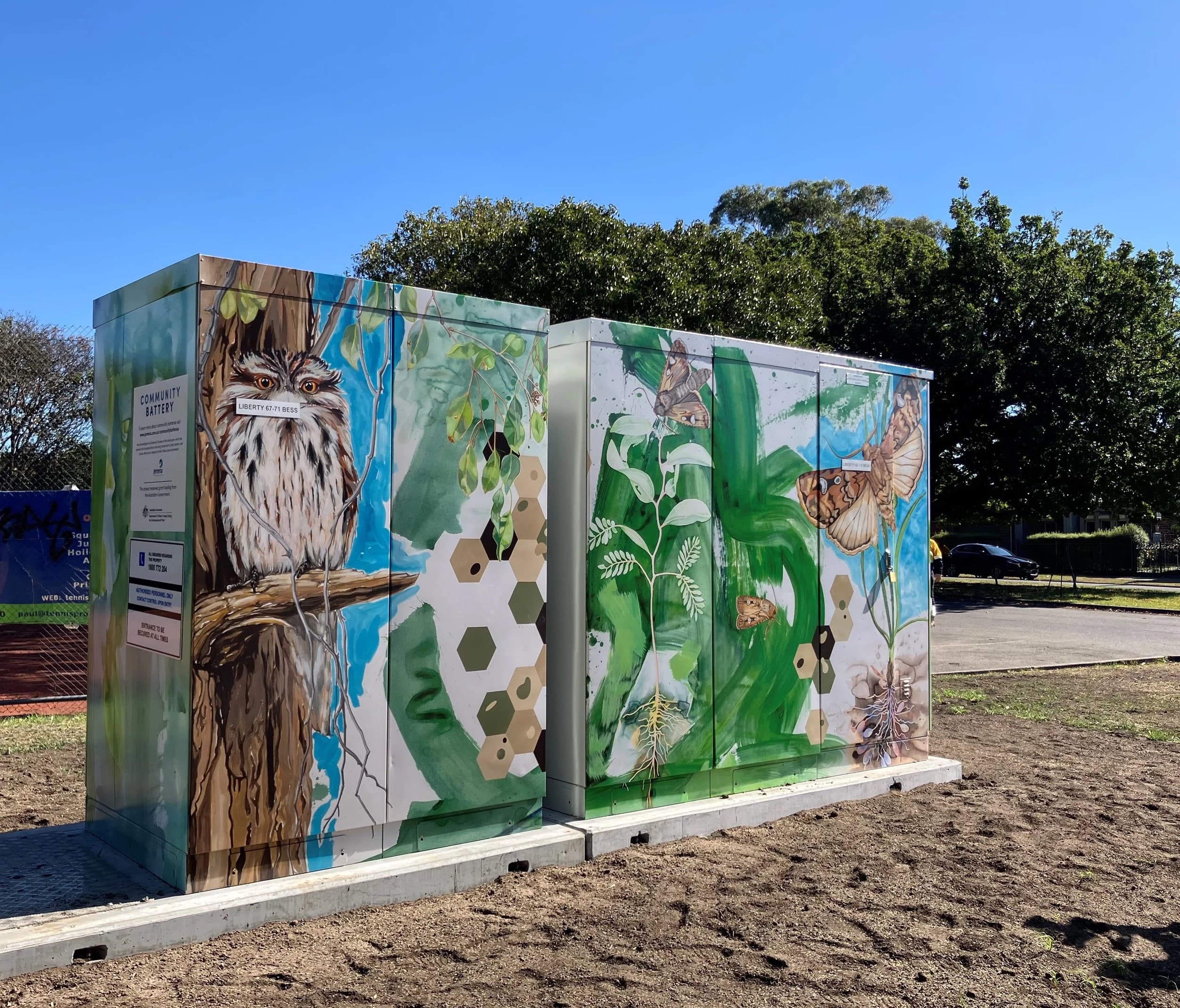 Two community battery cabinets painted with Australian-themed murals featuring a tawny frogmouth, native flora, and butterflies, deployed at a NSW retail site